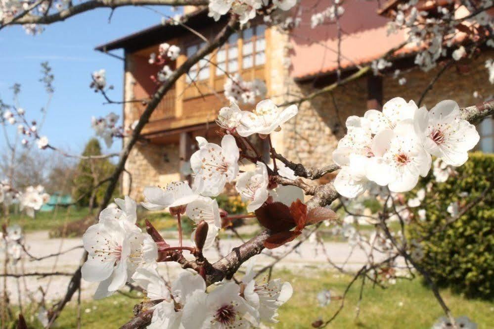 Casa Torreteyera Bed & Breakfast Villaviciosa  Exterior photo